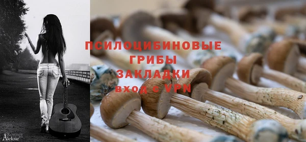 гашик Белоозёрский