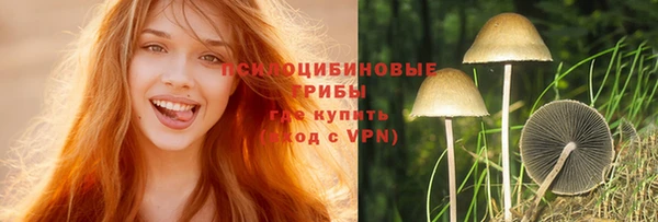 синтетический гашиш Белокуриха