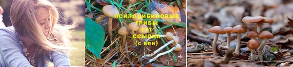 гашиш Беломорск
