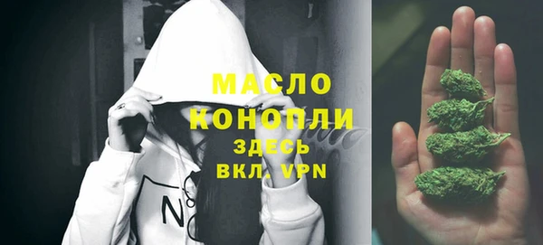 гашик Михайловск