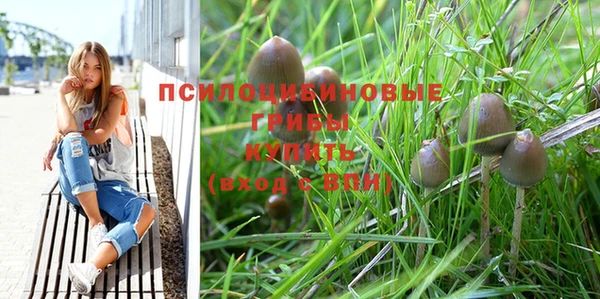 гашик Белоозёрский