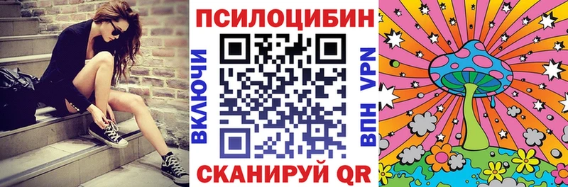 Псилоцибиновые грибы Psilocybe  цены   Благодарный 